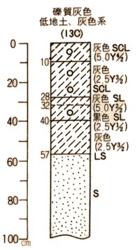 礫質灰色低地土灰色系柱状図