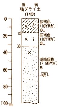 礫質強グライ土柱状図