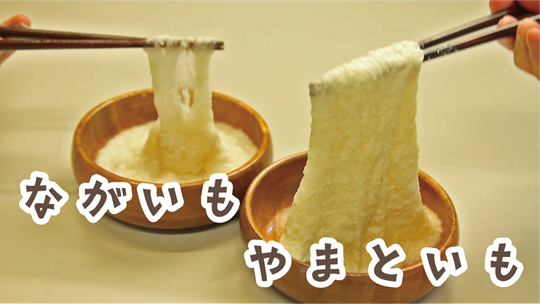 やまといもとながいも