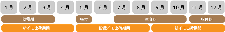 生産暦(やまといも)