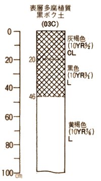 表層多腐植質黒ボク土柱状図