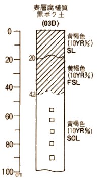 表層腐植質黒ボク土柱状図