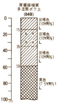 表層腐植質多湿黒ボク土柱状図