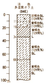 淡色多湿黒ボク土柱状図
