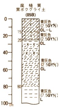 腐植質黒ボクグライ土柱状図
