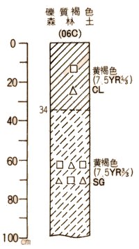 礫質褐色森林土柱状図