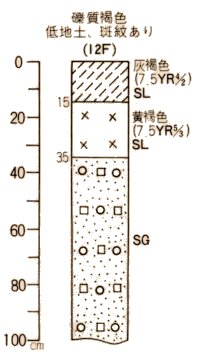 礫質褐色低地土斑紋あり柱状図