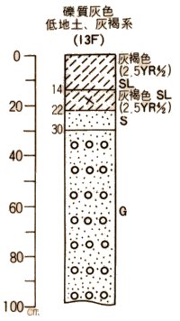礫質灰色低地土灰褐系柱状図