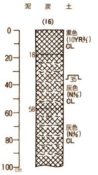 泥炭土柱状図