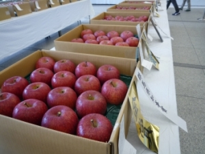 りんご品評会（過去の品評会の様子）